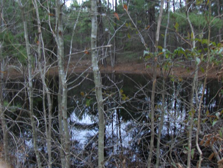 Free stock image of Pond created by Stephen Rayburn