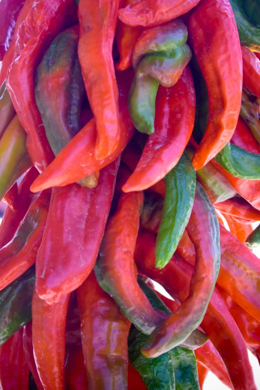 Free stock image of Hanging Chilies created by James Stewart