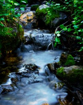 Mountain Stream - Free Stock Photo