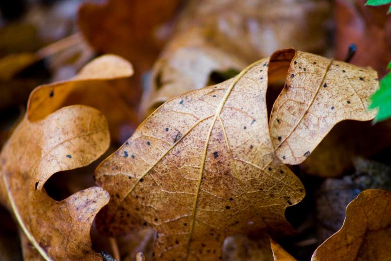 Free stock image of Fall death created by James Stewart