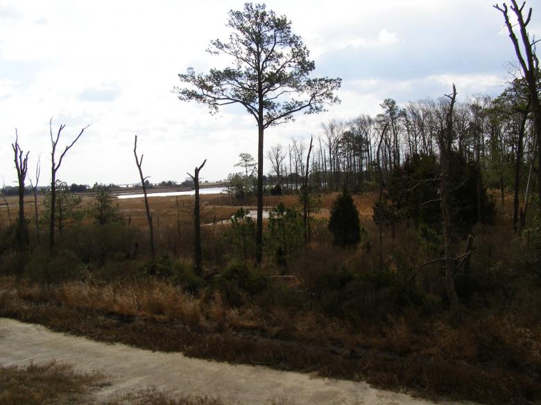 Free stock image of DE - Protected Wetlands created by The Nager Family
