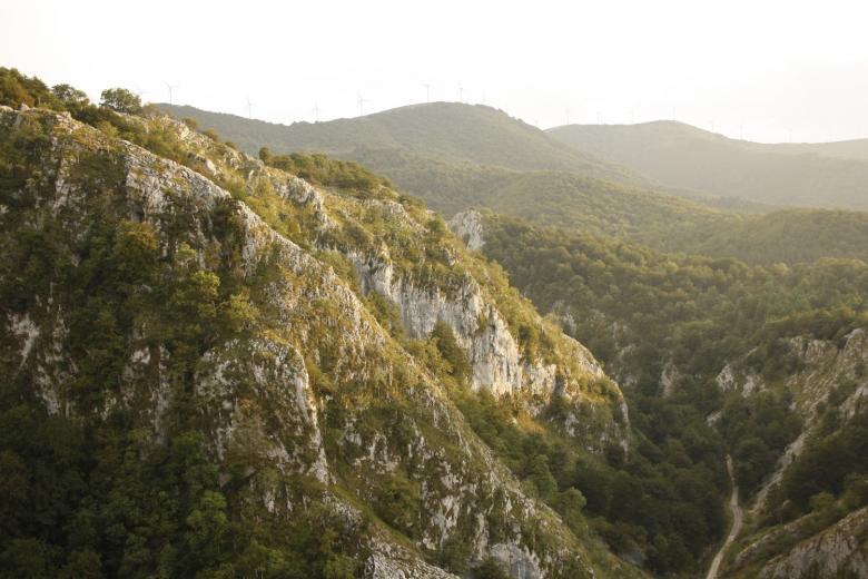 Free stock image of Arantzatzu created by Dragomir Bogomilov