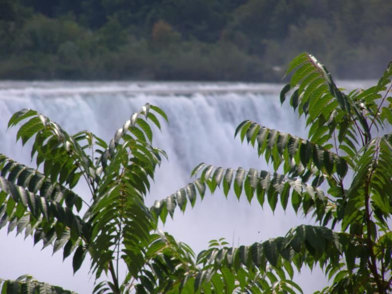 Free stock image of Canada - Niagara Falls - Water - Trees created by The Nager Family