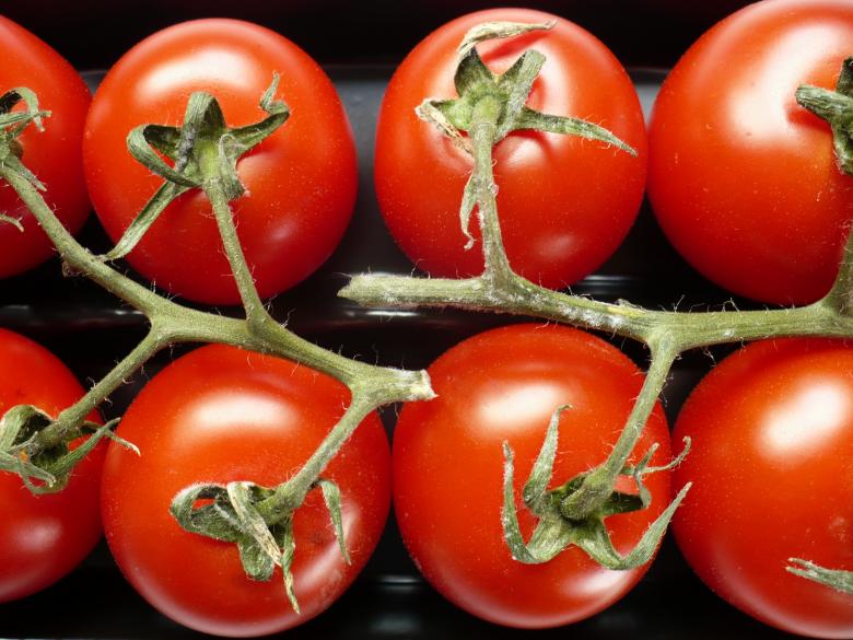 Free stock image of Tomatoes created by paul clifton