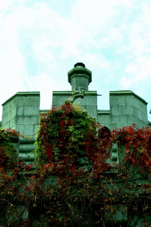 Free stock image of Irish Castle Wall created by Brian