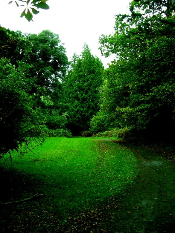 Free stock image of Irish Nature created by Brian