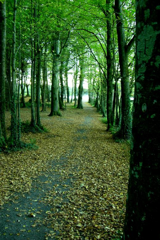 Free stock image of Ireland created by Brian