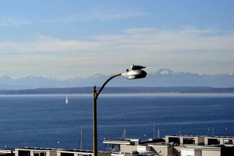 Free stock image of Seattle created by Brian