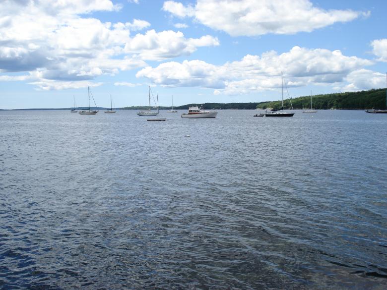 Free stock image of Sailboats created by Forrest Labbe