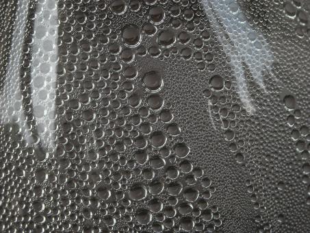 Condensed drops - Free Stock Photo