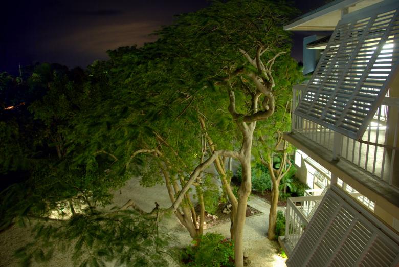 Free stock image of Night in Islamorada, Florida, January 20 created by Giovanni Gagliardi