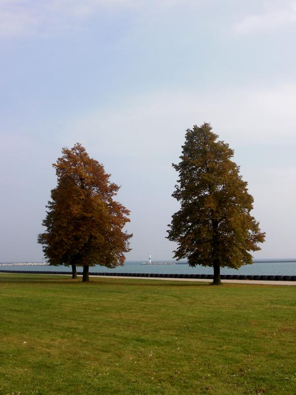Free stock image of Fall created by Brian