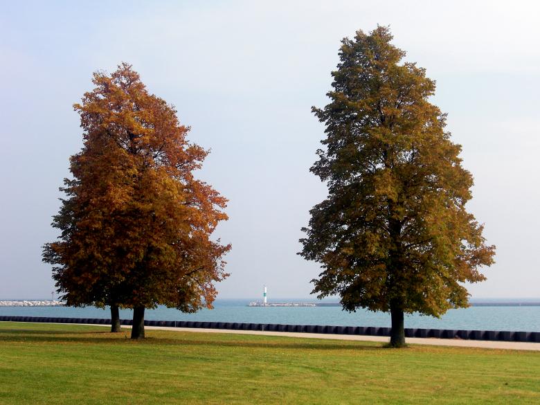 Free stock image of Fall created by Brian