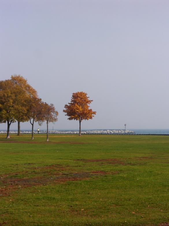 Free stock image of Fall created by Brian