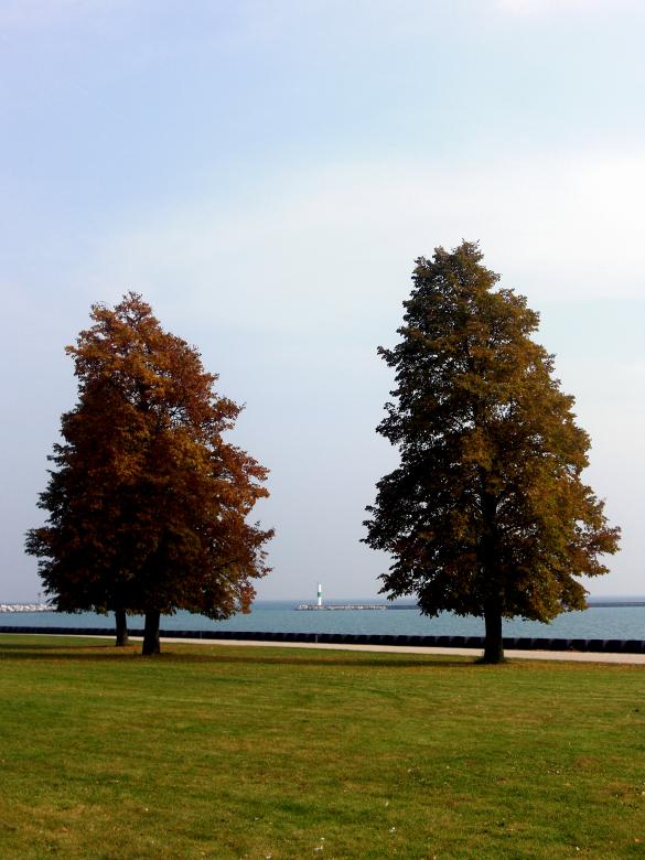 Free stock image of Fall created by Brian