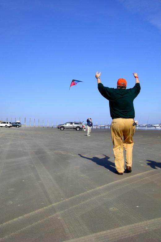 Free stock image of Duck - Kite Flying created by Brian