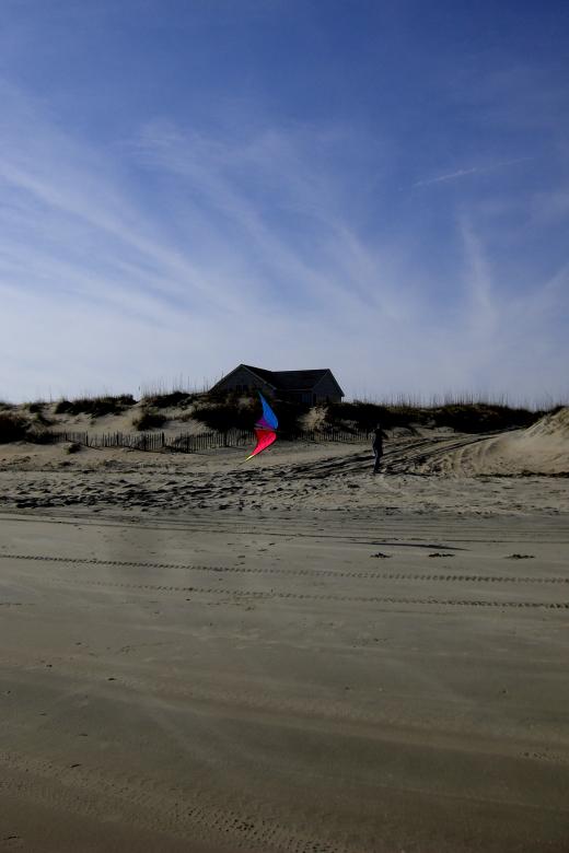 Free stock image of Duck - Kite Flying created by Brian