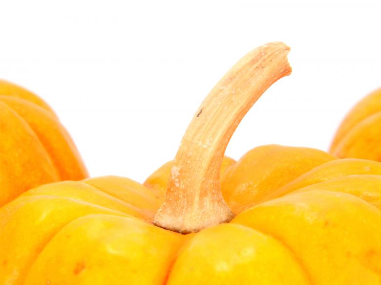 Free stock image of Pumpkin created by homero chapa