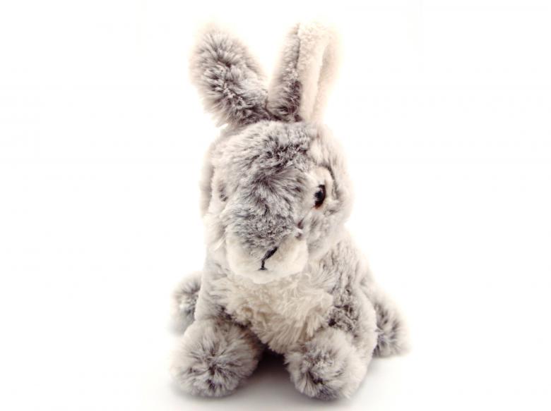 Free stock image of Rabbit toy created by homero chapa