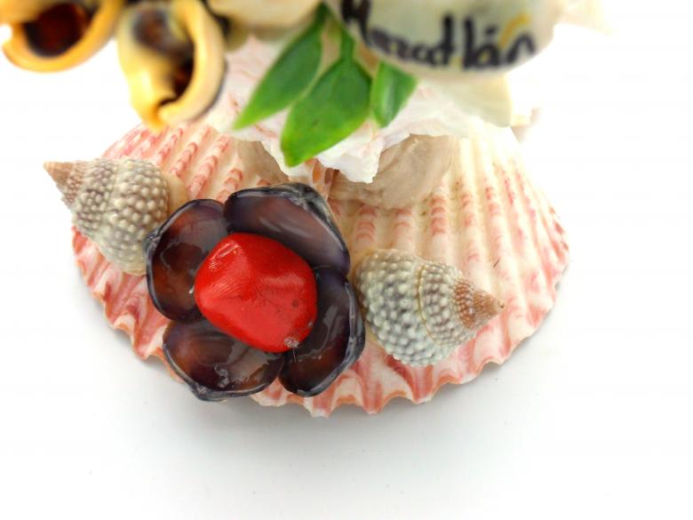 Free stock image of Sea-shell figure created by homero chapa