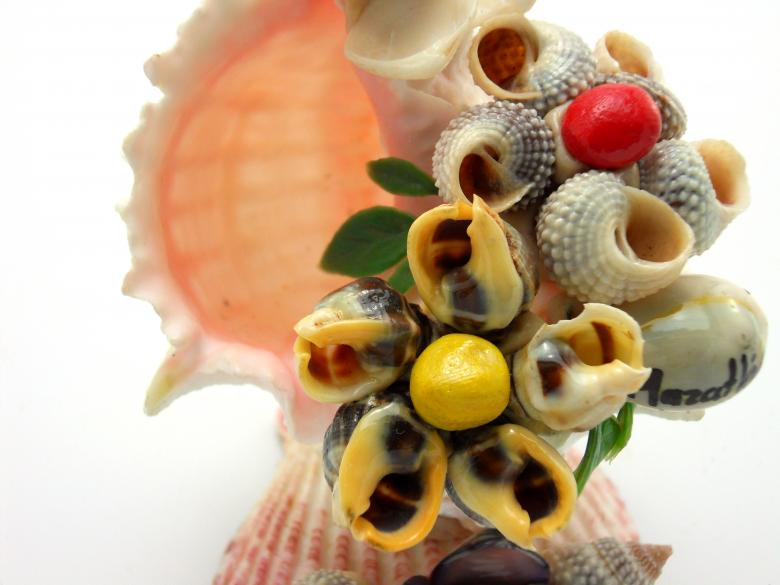 Free stock image of Sea-shell figure created by homero chapa