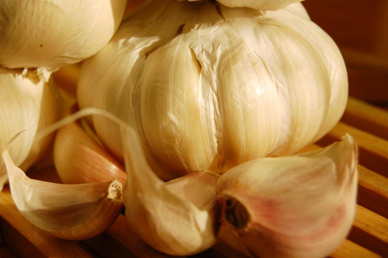 Free stock image of Garlic created by Cofaru Alexandru