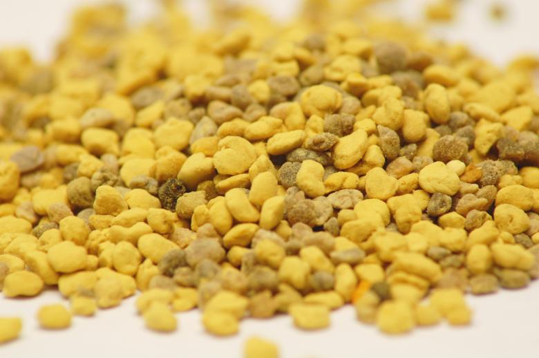 Free stock image of Pollen created by Cofaru Alexandru