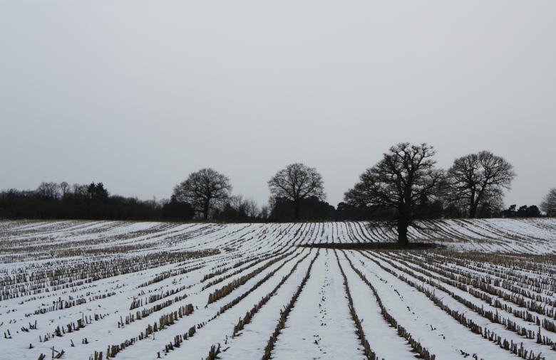 Free stock image of Winter fields created by paul clifton