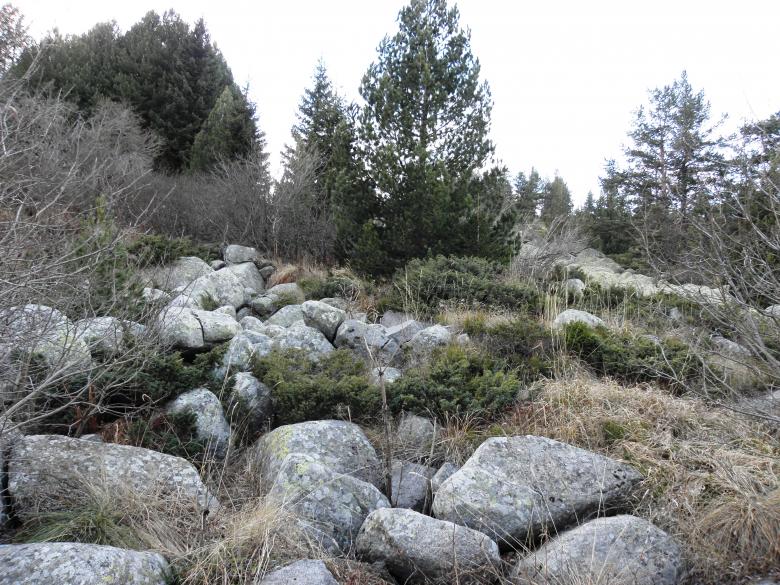 Free stock image of Moraines to the Vitosha mountain created by Yuliy Ganev
