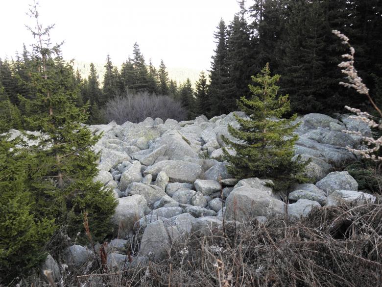 Free stock image of Moraines to the Vitosha mountain created by Yuliy Ganev