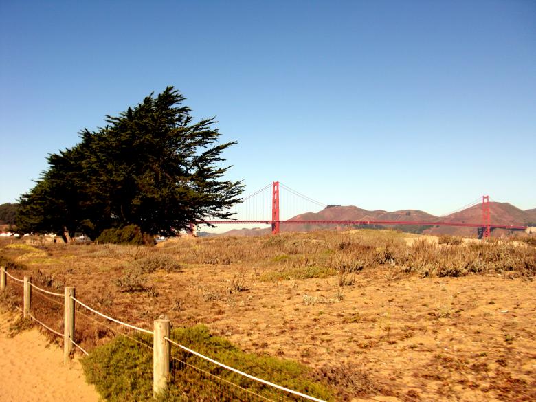 Free stock image of California created by Brian