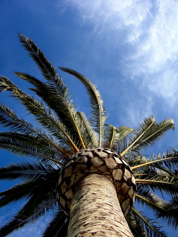 Free stock image of California created by Brian