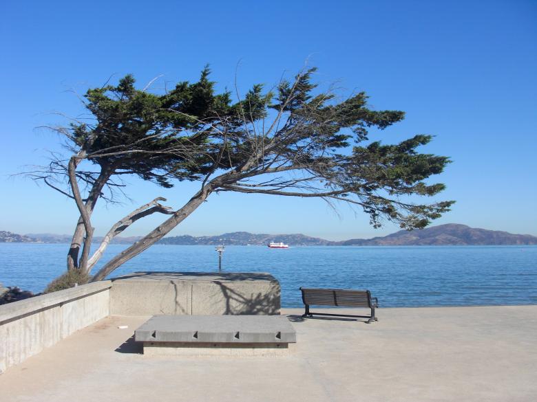 Free stock image of California created by Brian