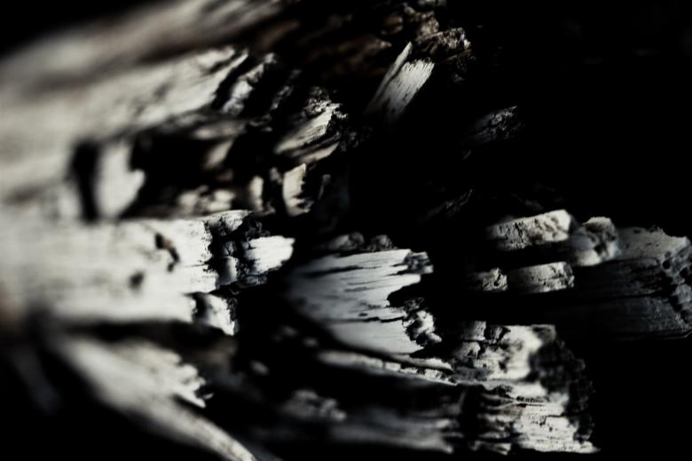 Free stock image of Rotten wood created by Bjorgvin