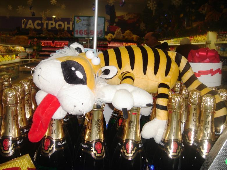Free stock image of Tiger champaign new year created by virus_77