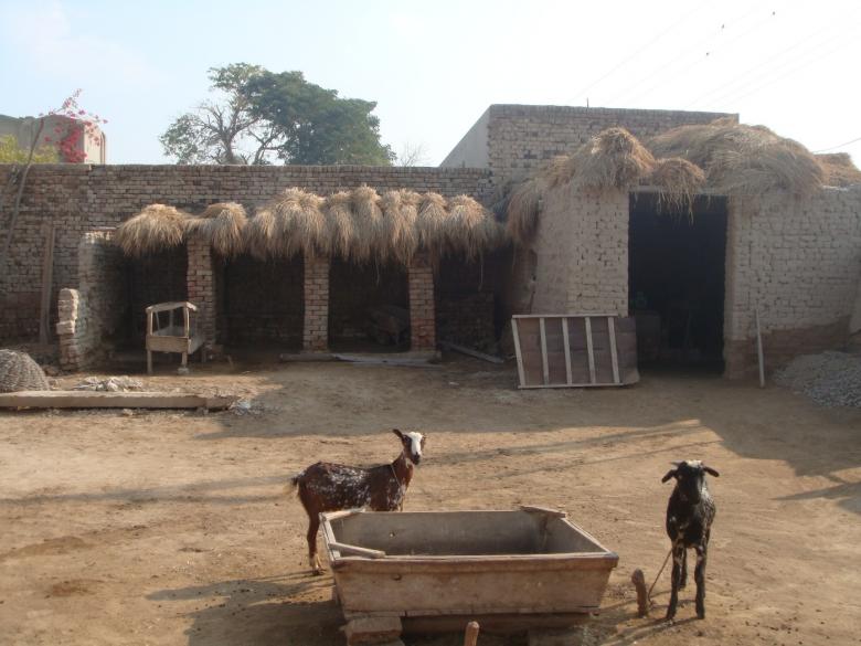 Free stock image of Village created by Ali Haider