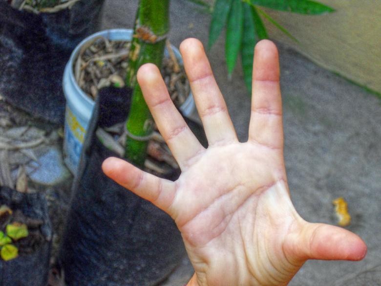 Free stock image of Girls hand created by homero chapa