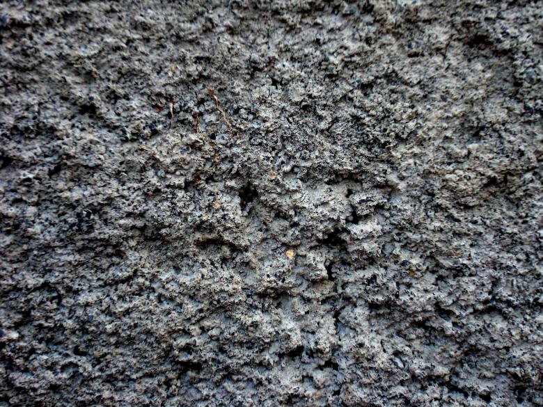 Free stock image of Concrete texture created by homero chapa