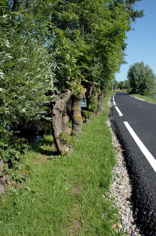 Free stock image of Road created by Max van Holten