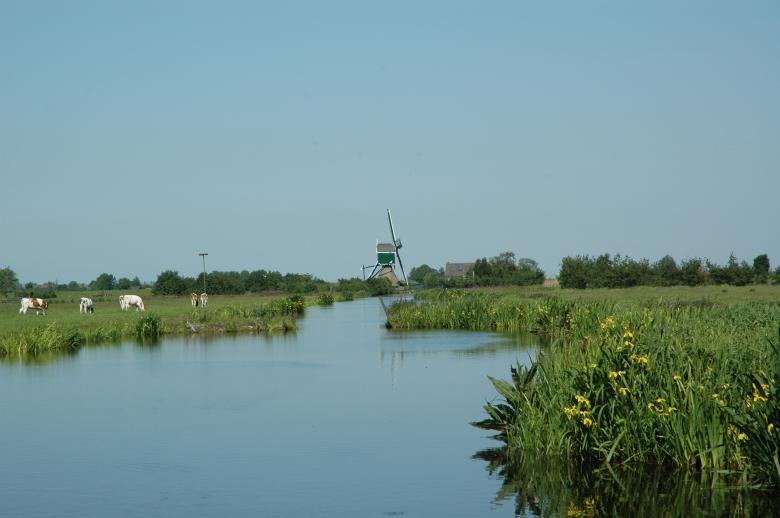 Free stock image of Dutch Windmill created by Max van Holten