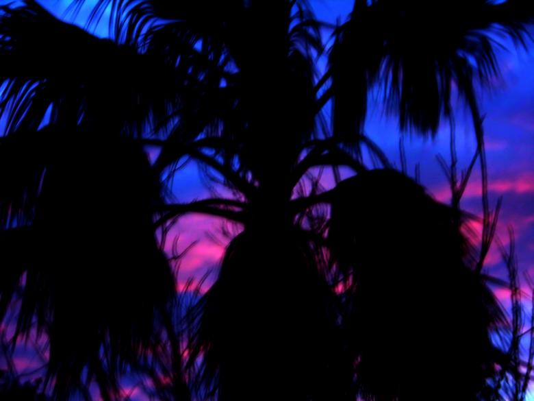 Free stock image of Palm sunset created by Graham Briggs