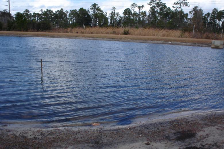Free stock image of Small Pond created by Thom Parkin