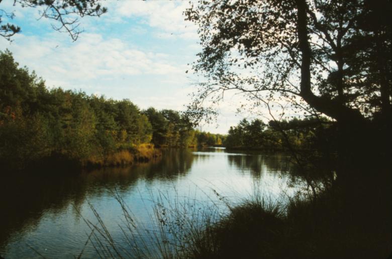 Free stock image of Landscape created by MUNCH PIERRE