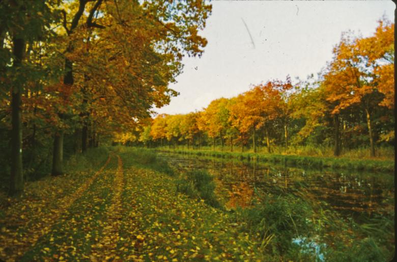 Free stock image of Landscape created by MUNCH PIERRE