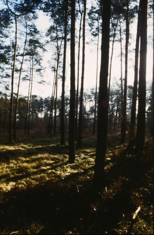 Free stock image of Landscape created by MUNCH PIERRE