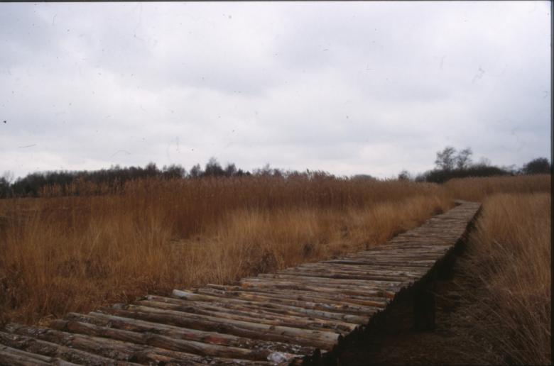 Free stock image of Wooden bridge created by MUNCH PIERRE