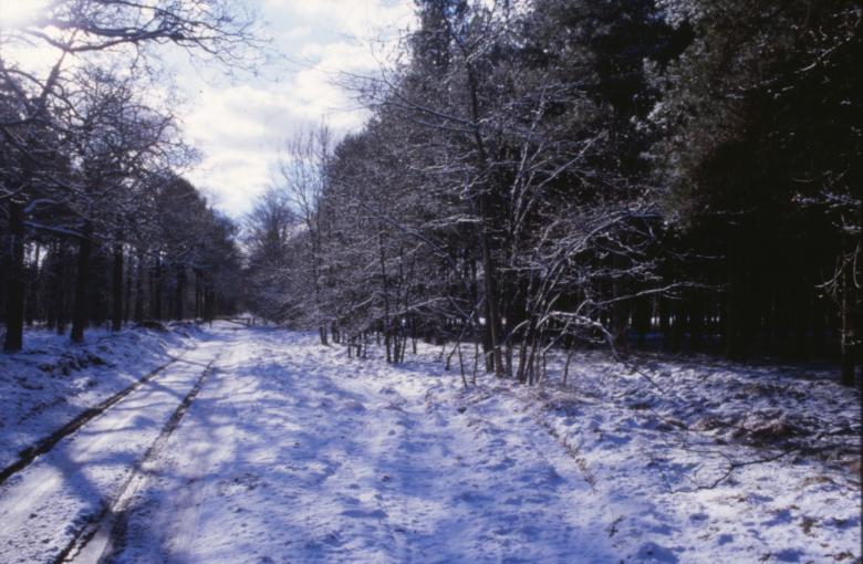 Free stock image of Winter Landscape created by MUNCH PIERRE