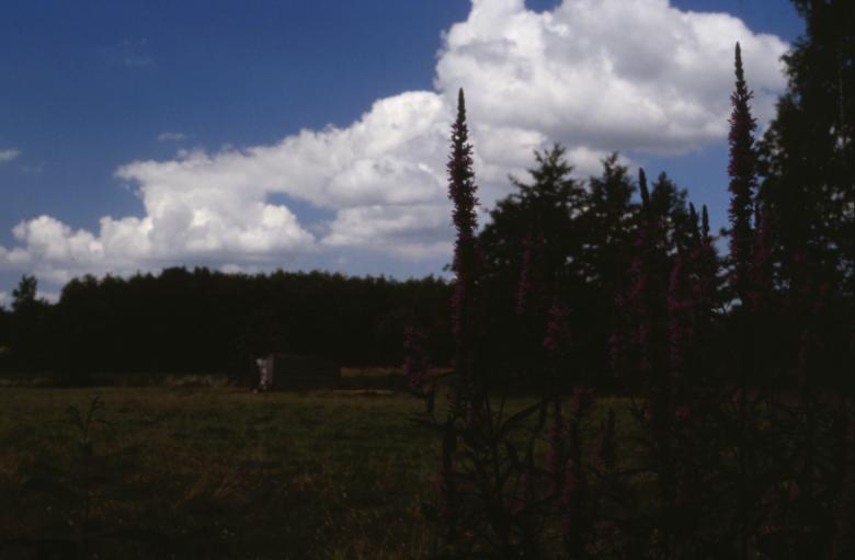 Free stock image of Landscape created by MUNCH PIERRE