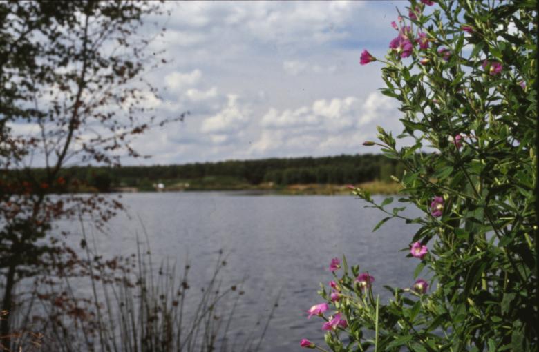 Free stock image of Landscape created by MUNCH PIERRE