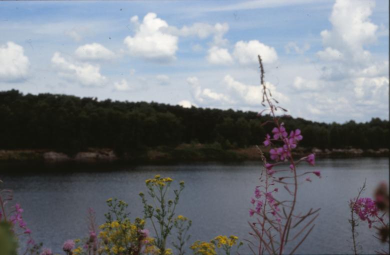 Free stock image of Landscape created by MUNCH PIERRE